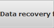 Data recovery for St Louis Park data